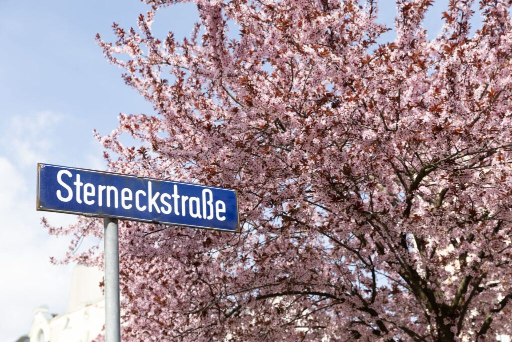 Bildergalerie2, 54 – HobmaierFoto-58
